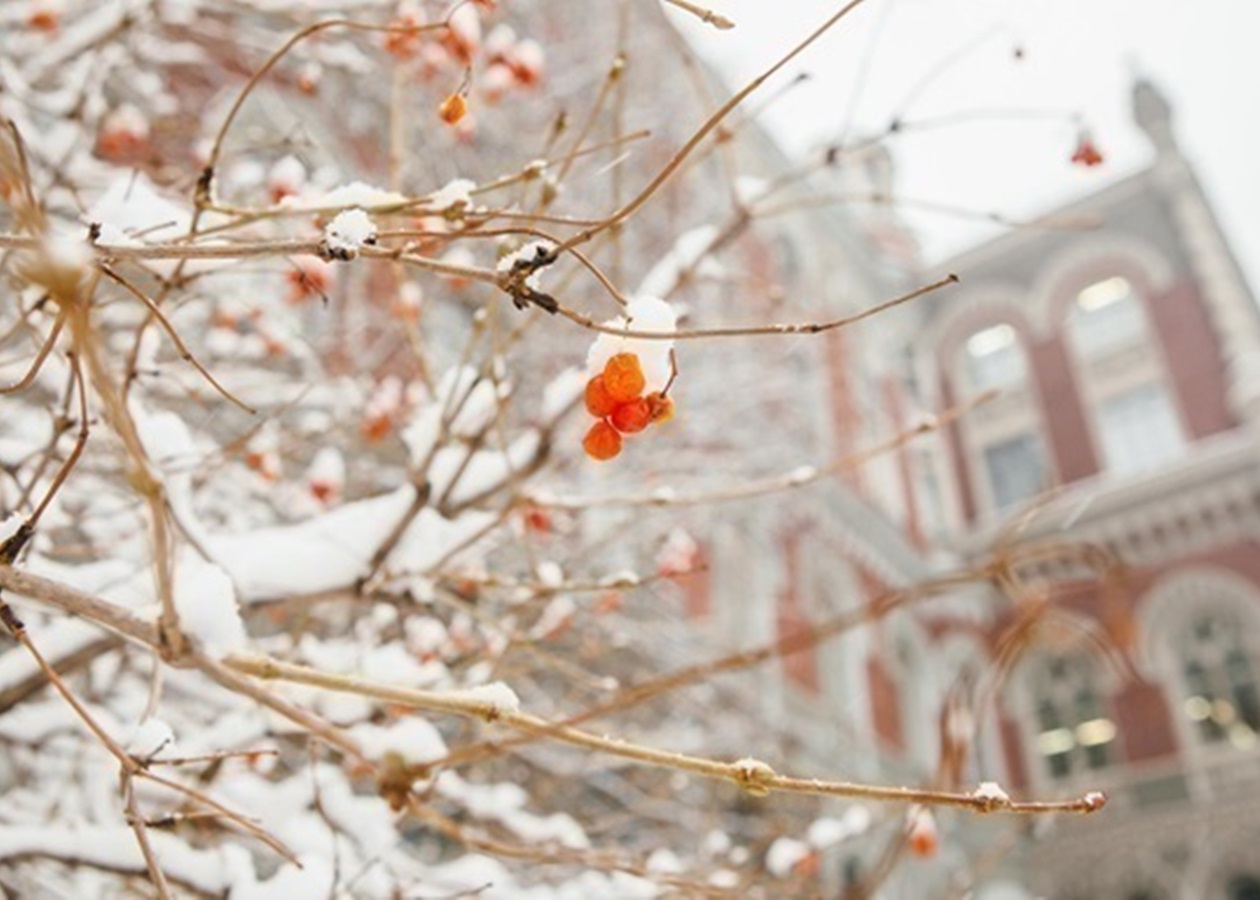 Нацбанк знову зміцнив курс гривні