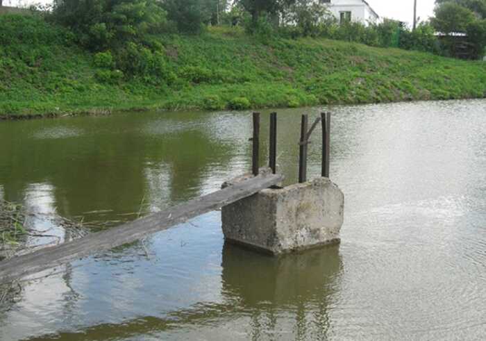 Рибна ферма і бронювання: як до списку «критично важливих» потрапили піарник, адвокати та футболісти