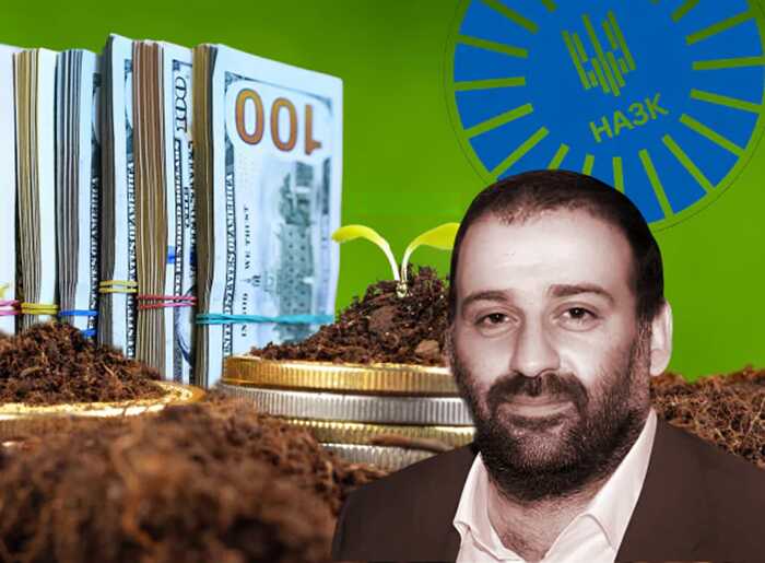 Справа «Мідас»: дружина посадовця НАЗК Олена Диптан допомагала легалізувати землю під маєтки Єрмака