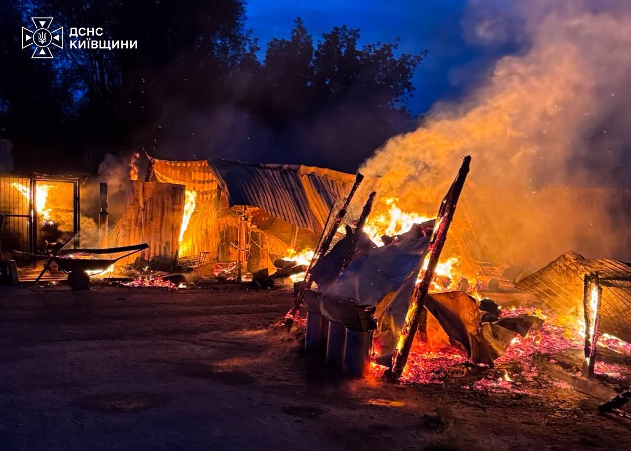 На Київщині горів притулок для тварин