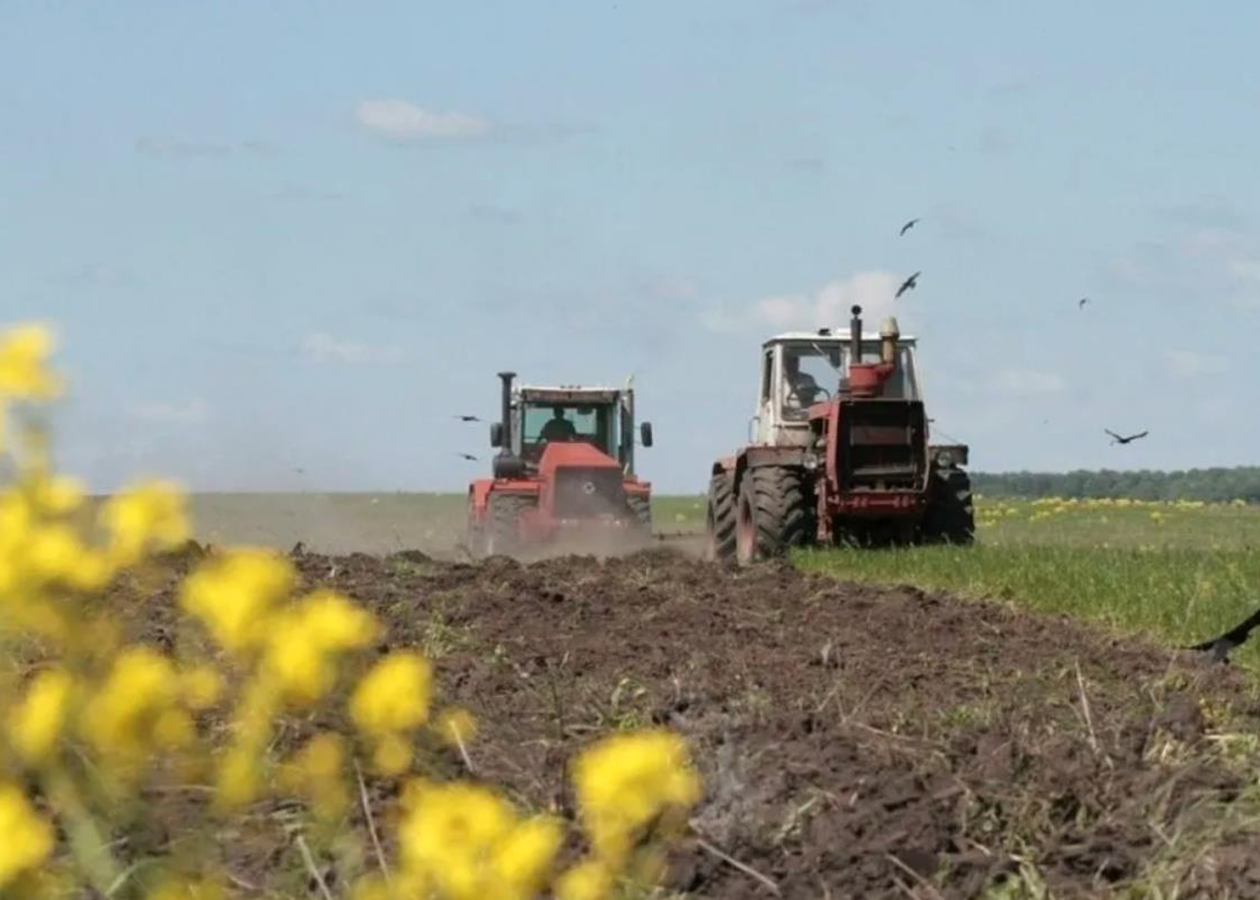В Україні озимими зерновими засіяли понад 740 тис. га
